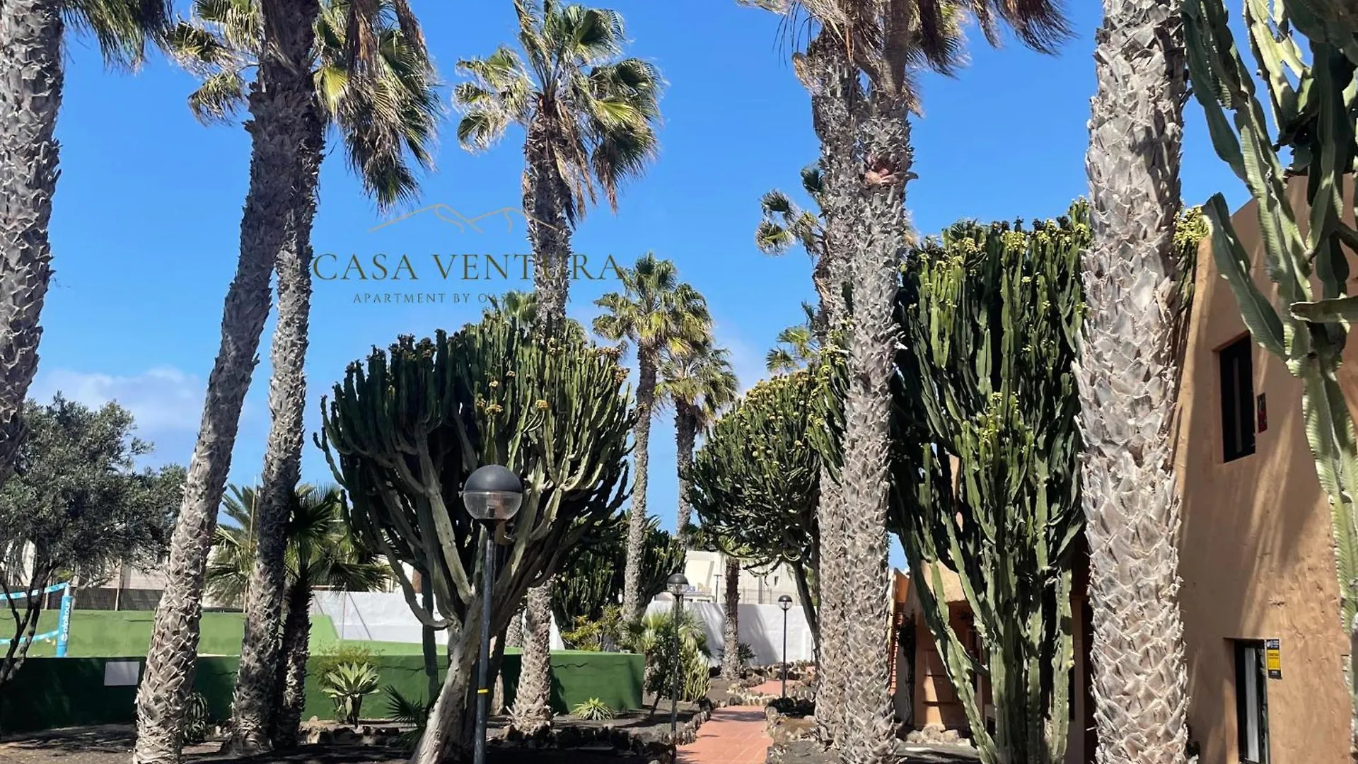 アパート B-Rent Suite Casa Ventura コラレホ